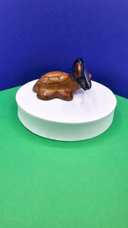 Turtle Eyeglass Holder